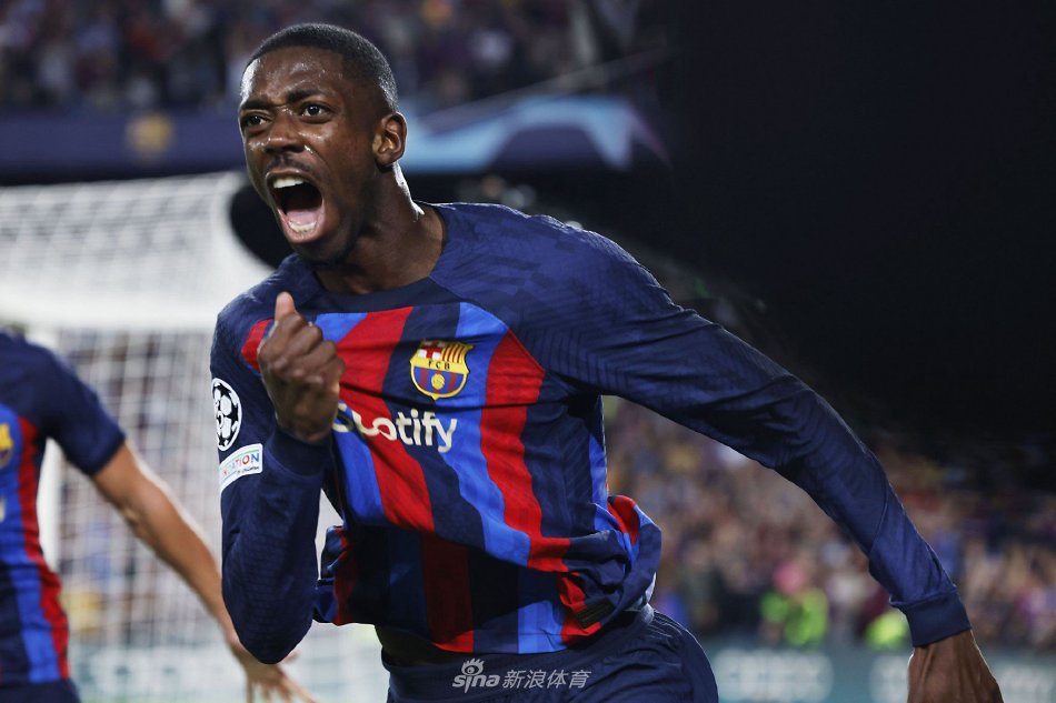 6强不仅是 6强不仅是